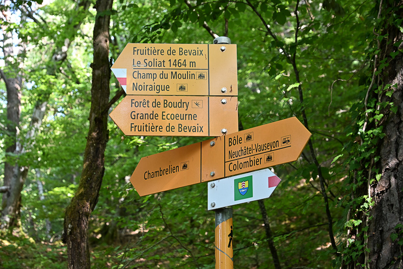 <div></div>
