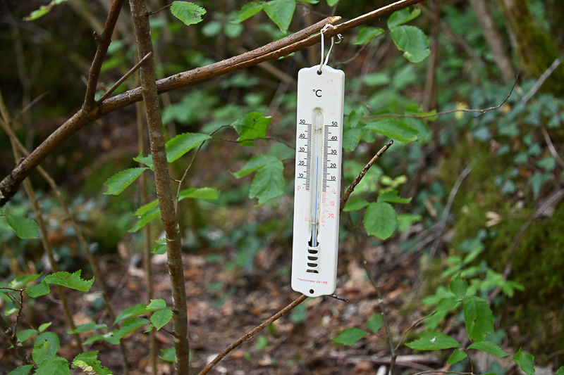 <div></div>